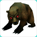 รูป Black Bear