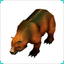 รูป Brown Bear