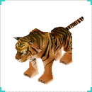 รูป Tiger